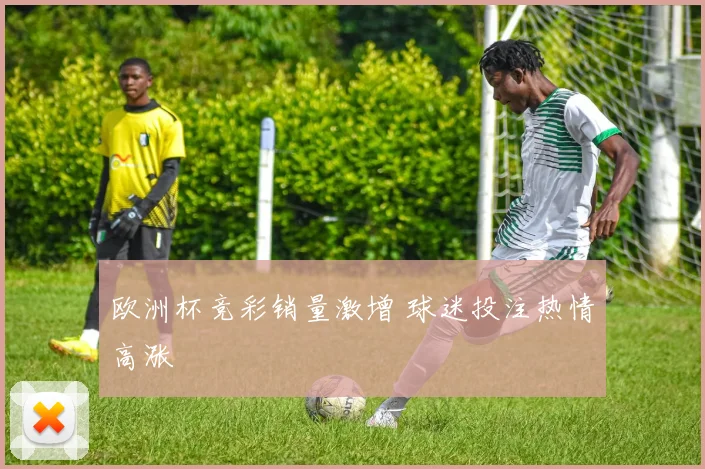 欧洲杯竞彩销量激增 球迷投注热情高涨