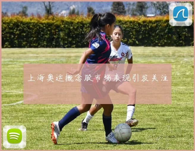 上海奥运概念股市场表现引发关注