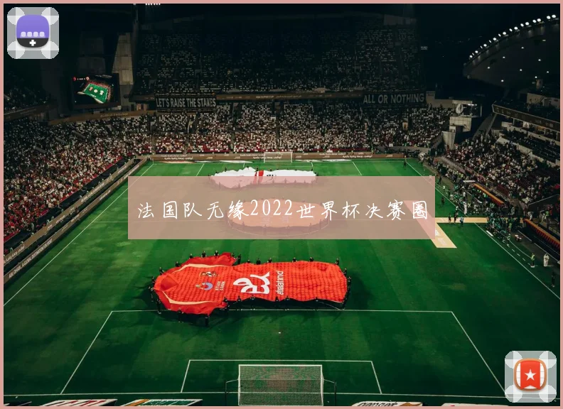 法国队无缘2022世界杯决赛圈
